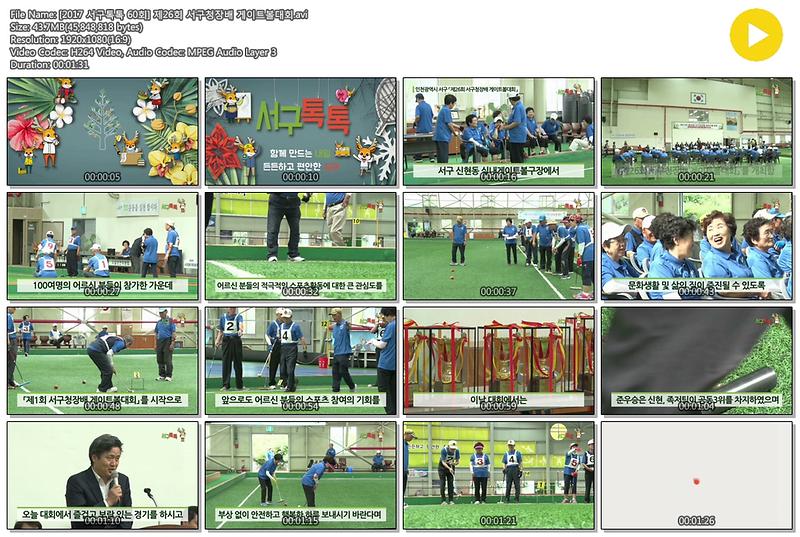 [2017 서구톡톡 60회] 제26회 서구청장배 게이트볼대회 사진